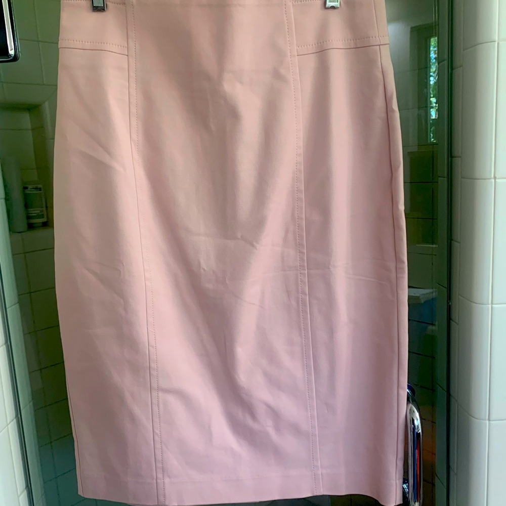 Seamed Ann Taylor seamed pencil skirt in heavy cotton.  Pretty in PINK!